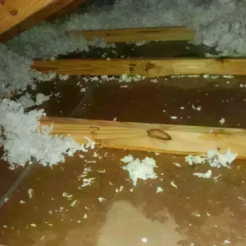 Attic Water Damage in Saint Matthews, KY